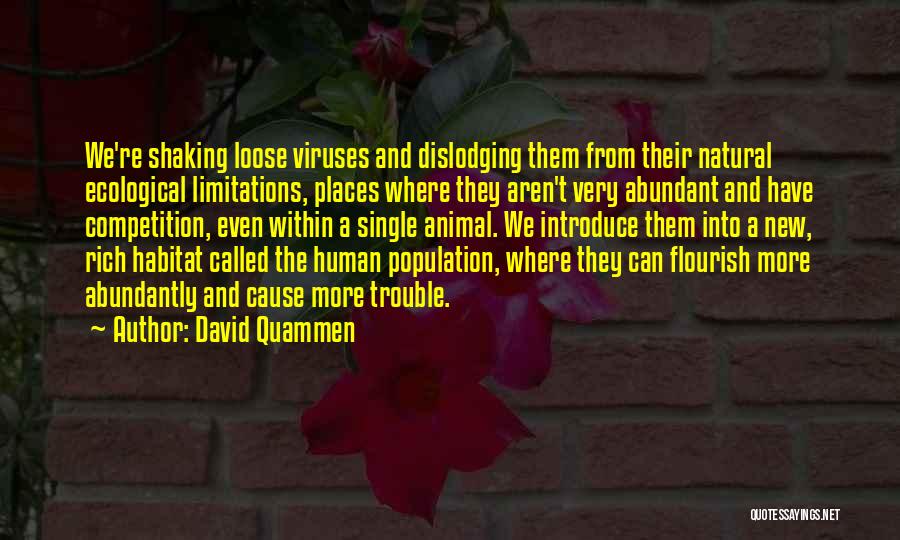 David Quammen Quotes 281906