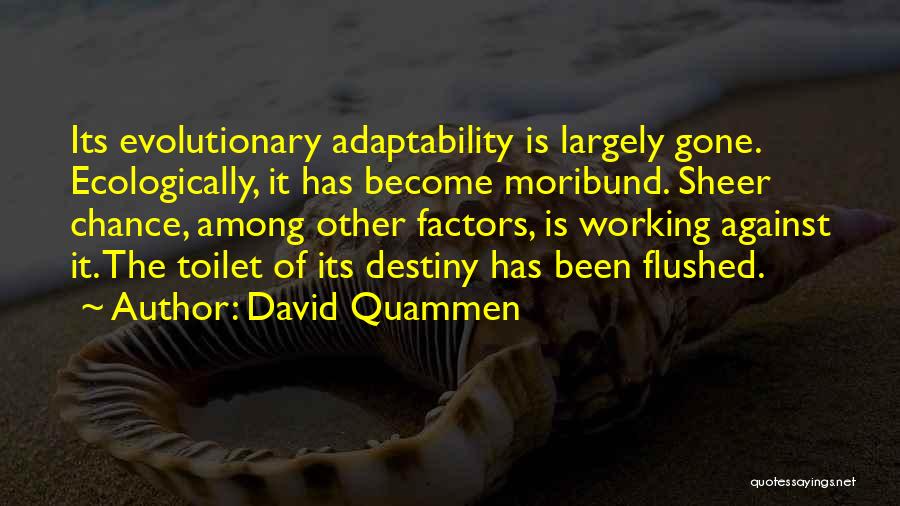 David Quammen Quotes 696758