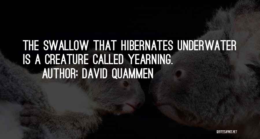 David Quammen Quotes 742851