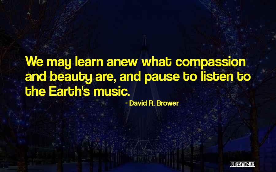 David R. Brower Quotes 1031252