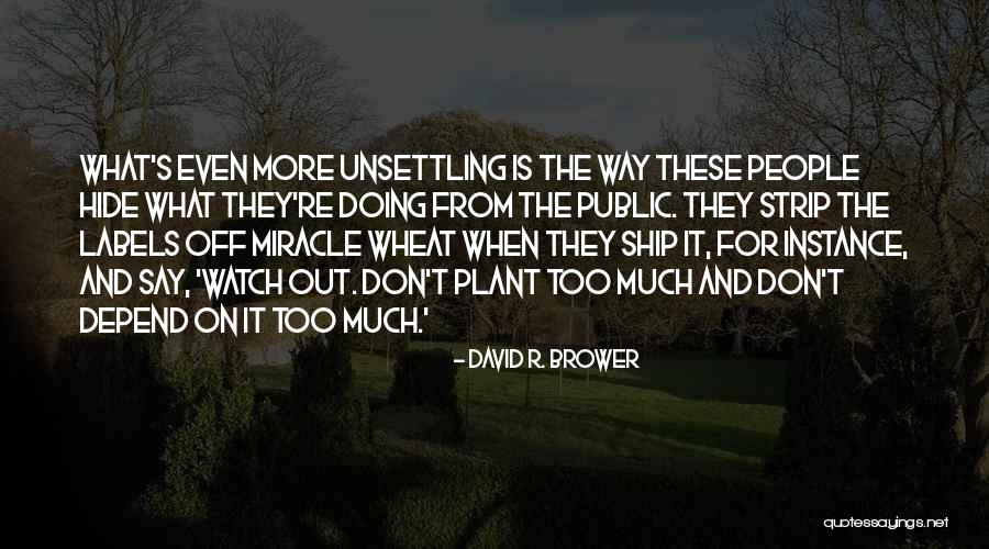 David R. Brower Quotes 1170191