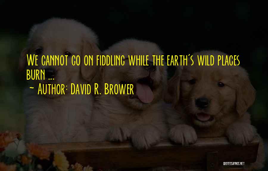 David R. Brower Quotes 1315638