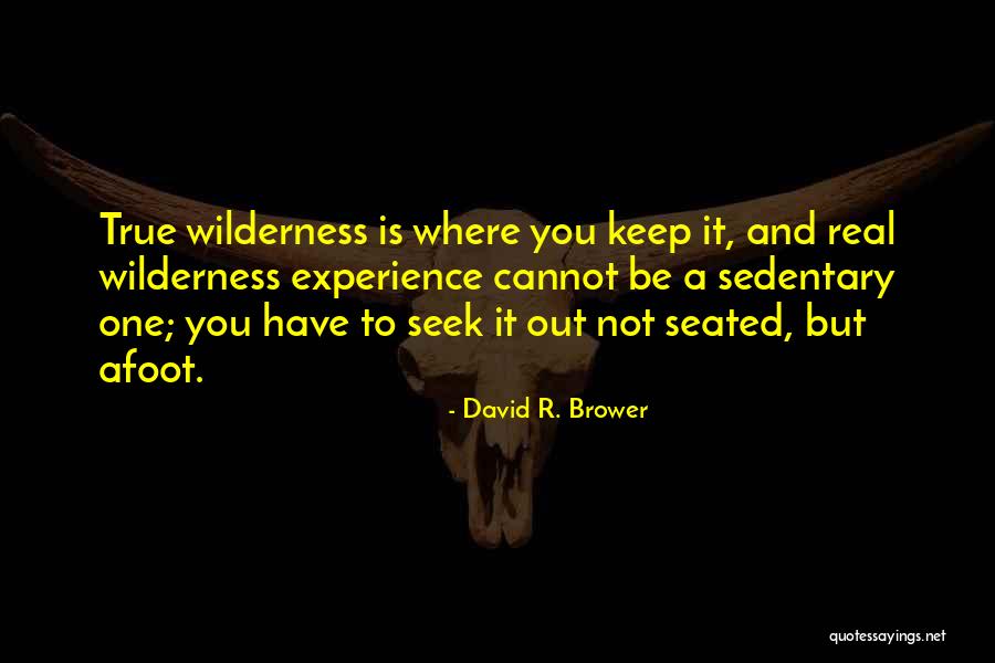 David R. Brower Quotes 1349066