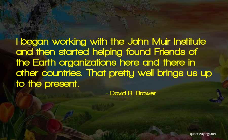 David R. Brower Quotes 1424486