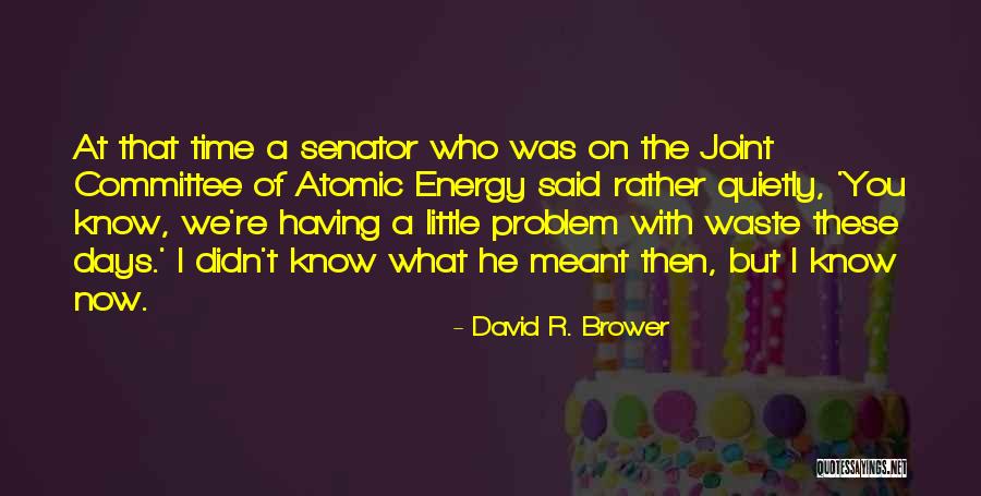 David R. Brower Quotes 1424496