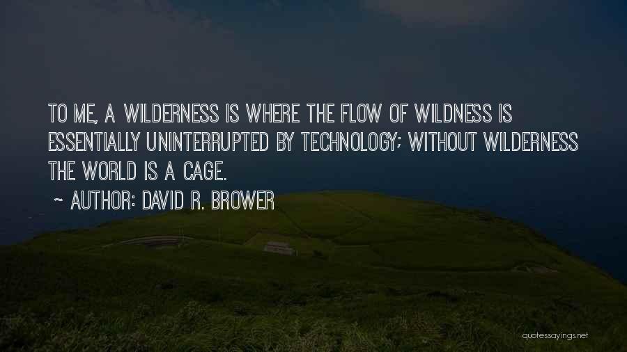 David R. Brower Quotes 1534631