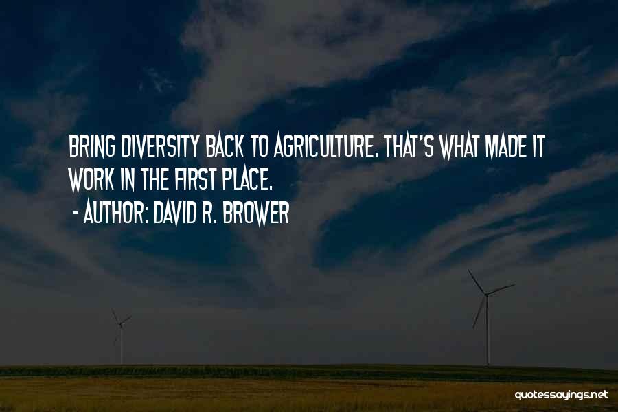 David R. Brower Quotes 1547057