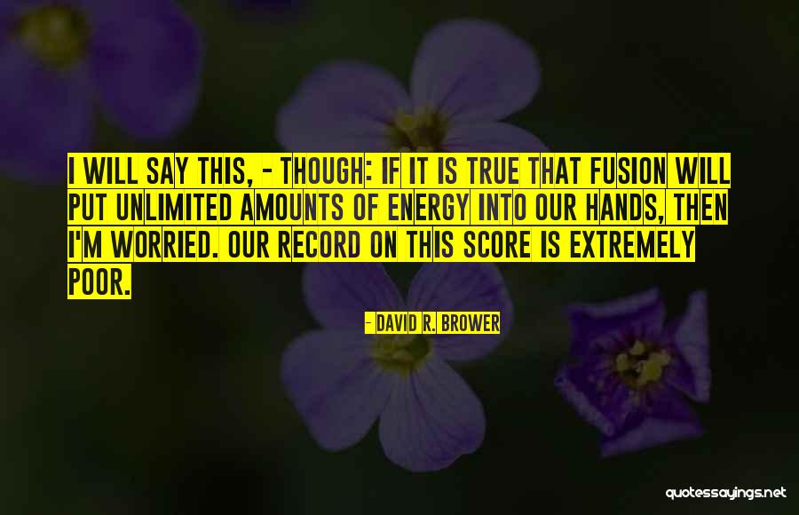 David R. Brower Quotes 1613190