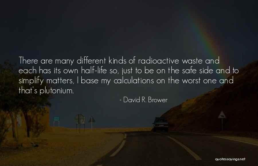 David R. Brower Quotes 1788199