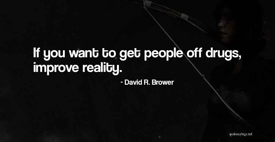 David R. Brower Quotes 1790801