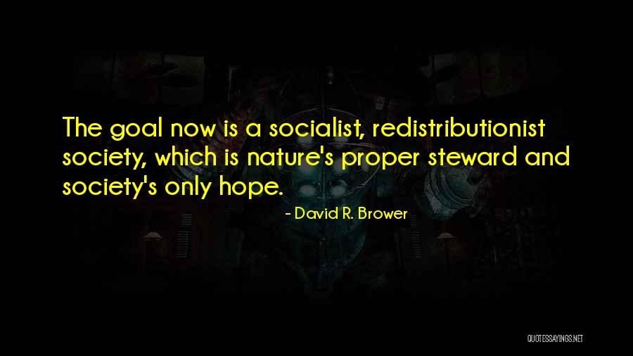 David R. Brower Quotes 1904134