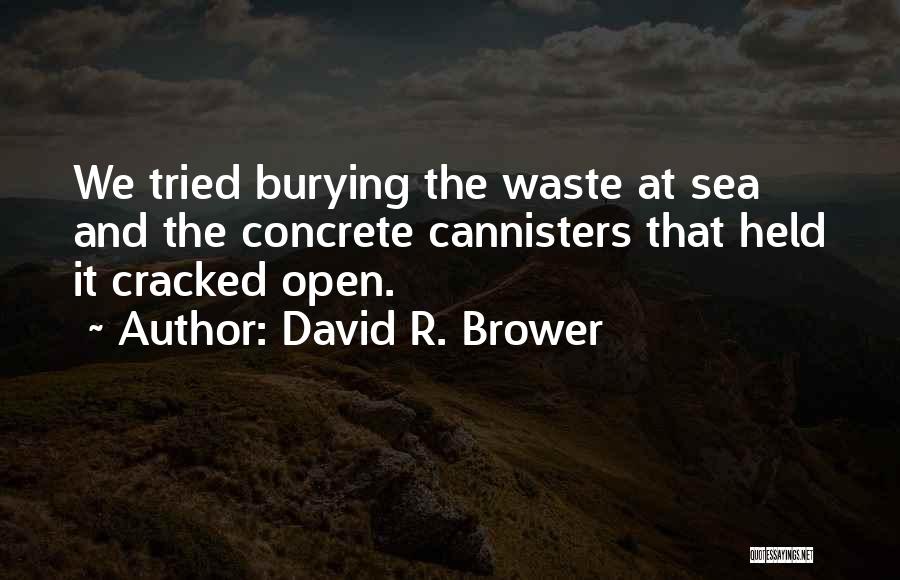 David R. Brower Quotes 206127