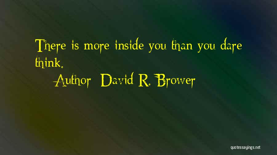 David R. Brower Quotes 2080706