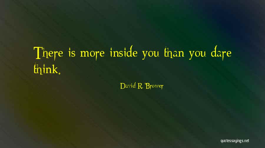 David R. Brower Quotes 2080706