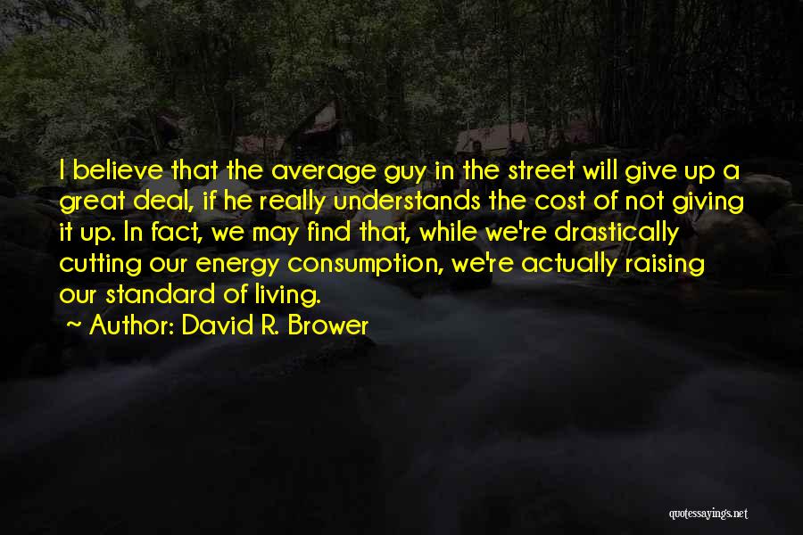 David R. Brower Quotes 225844