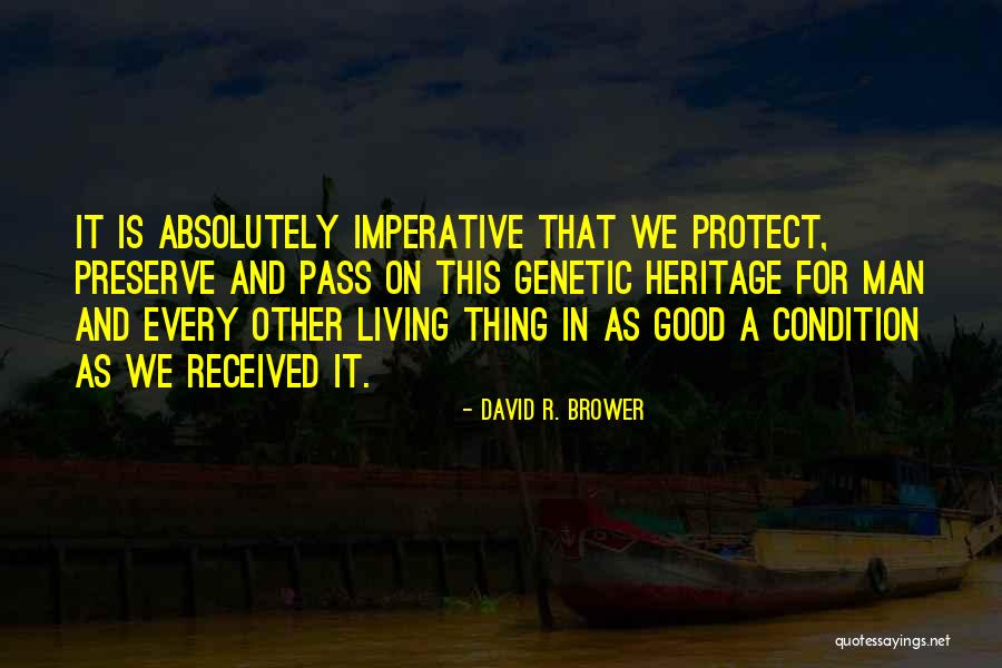 David R. Brower Quotes 2259302