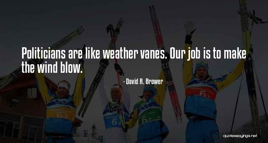 David R. Brower Quotes 369177