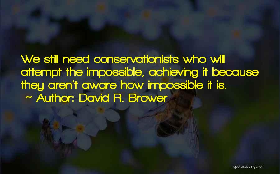 David R. Brower Quotes 654130