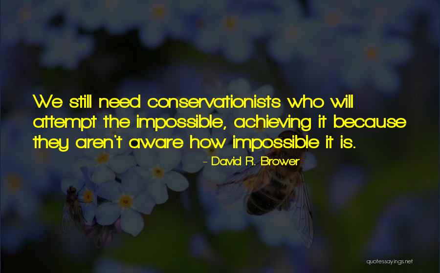 David R. Brower Quotes 654130