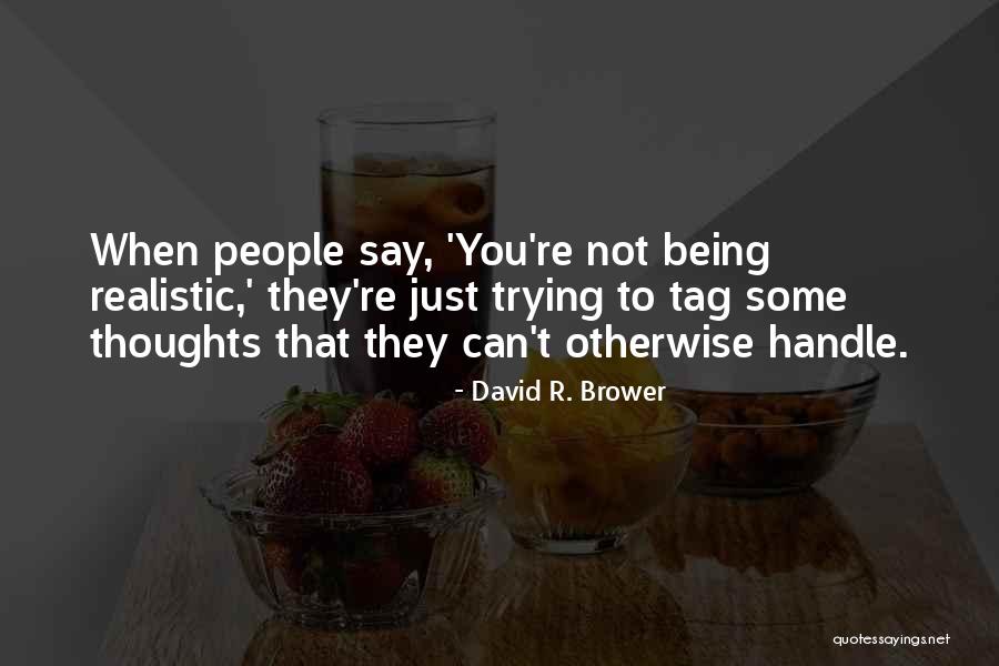 David R. Brower Quotes 809407