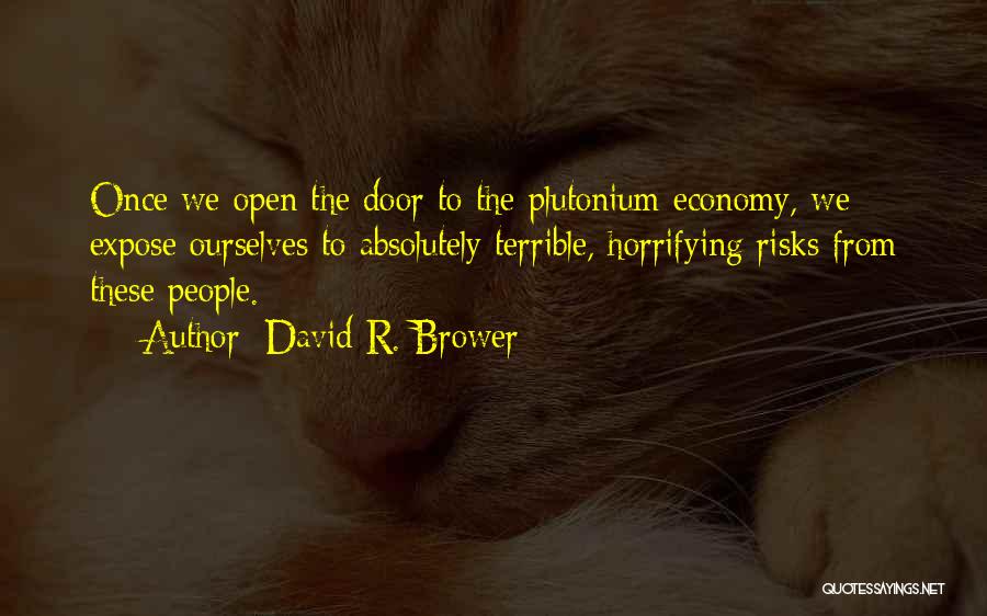 David R. Brower Quotes 946776