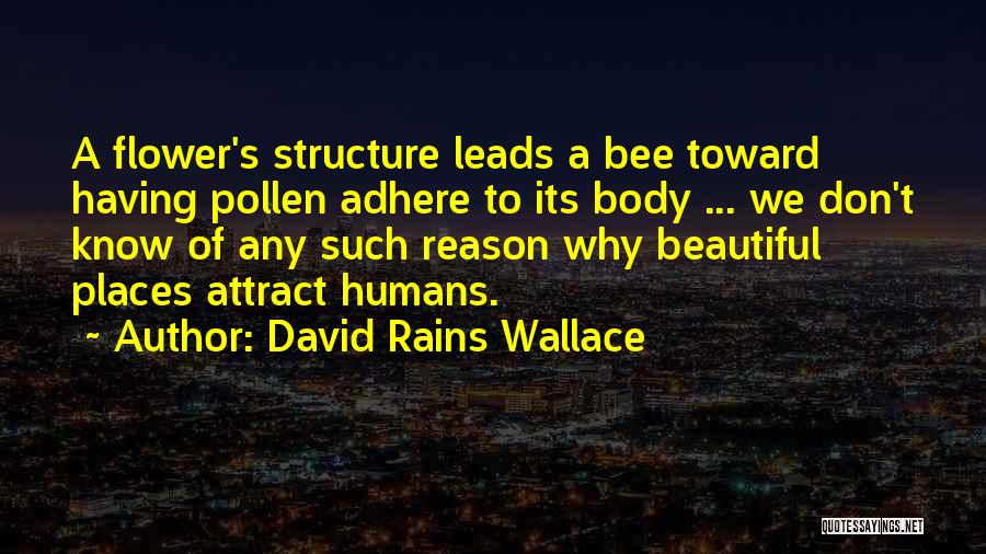 David Rains Wallace Quotes 772480