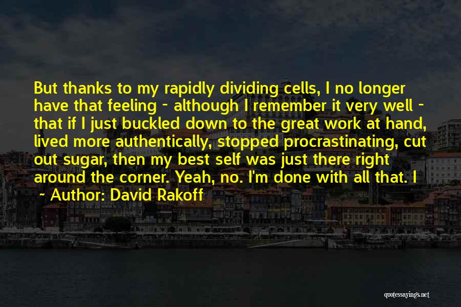 David Rakoff Quotes 1905886