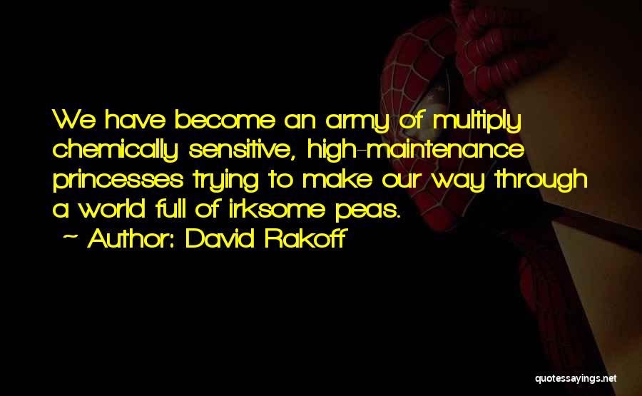 David Rakoff Quotes 478742