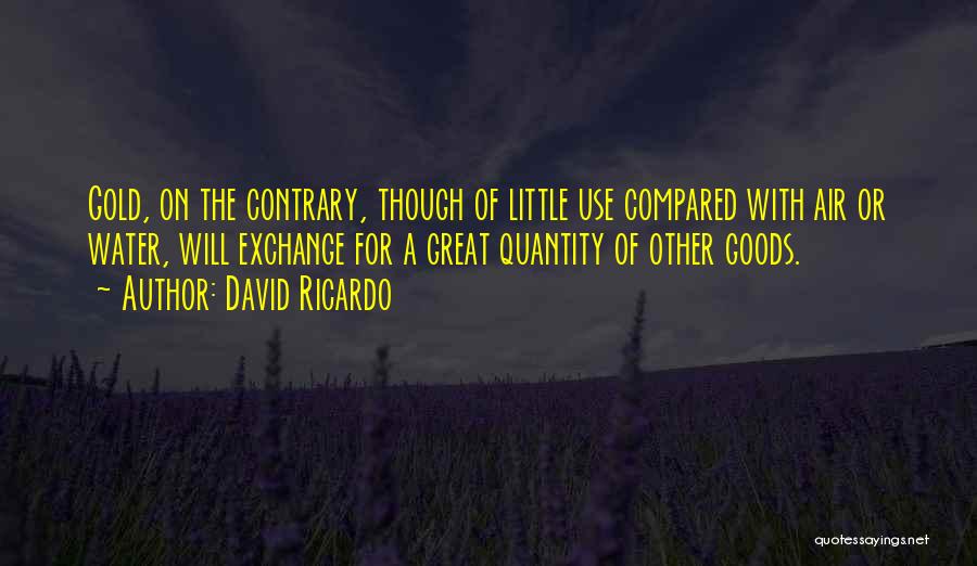 David Ricardo Quotes 1971853