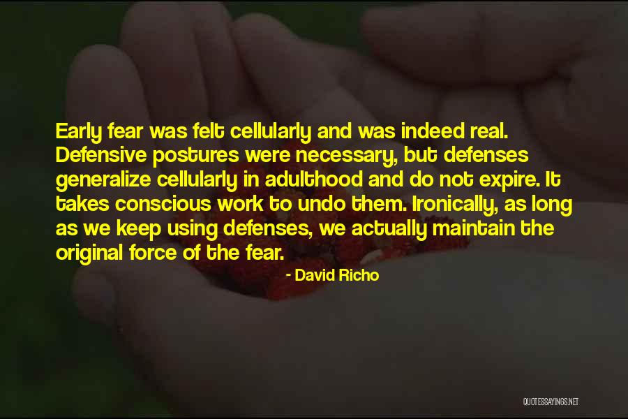 David Richo Quotes 1940823