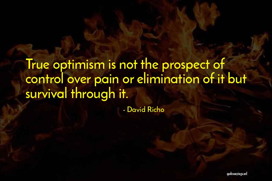 David Richo Quotes 709219