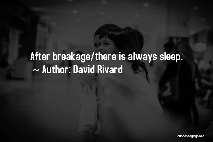 David Rivard Quotes 894322