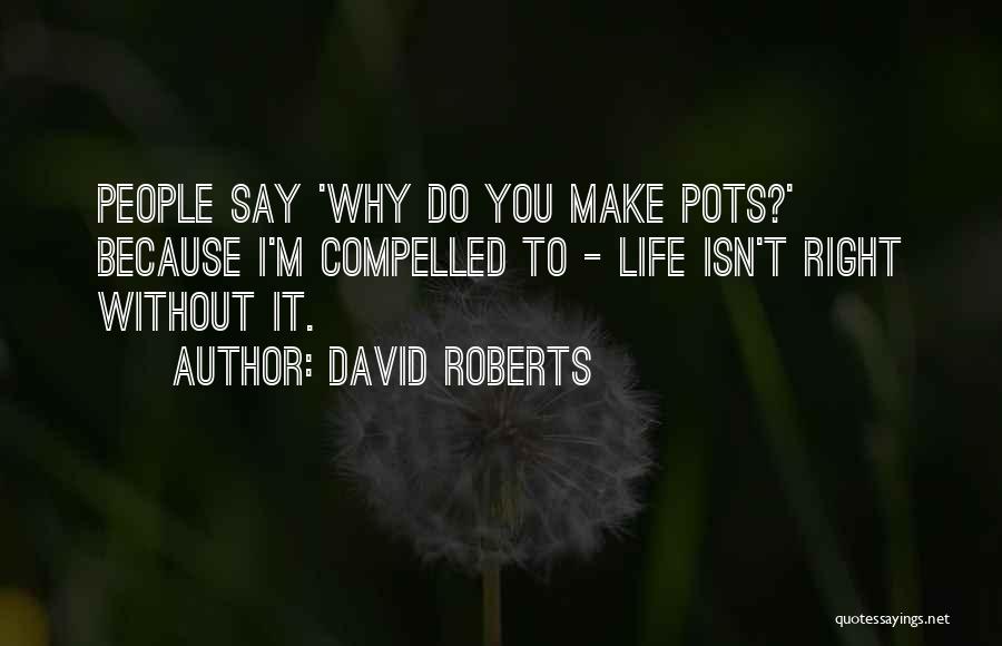 David Roberts Quotes 1551383
