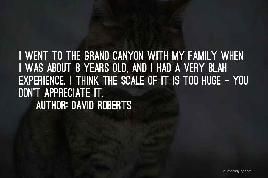 David Roberts Quotes 1667313