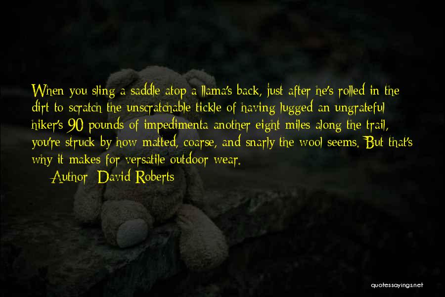 David Roberts Quotes 192850