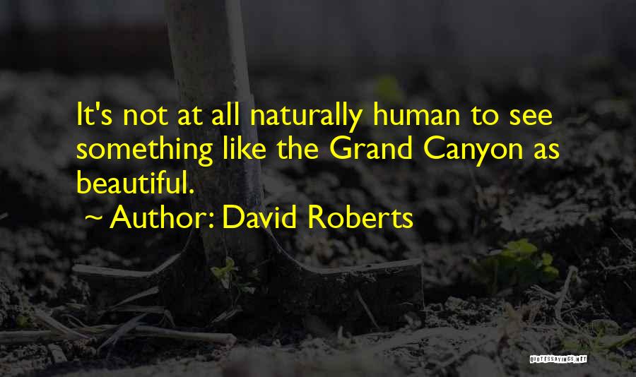 David Roberts Quotes 699594