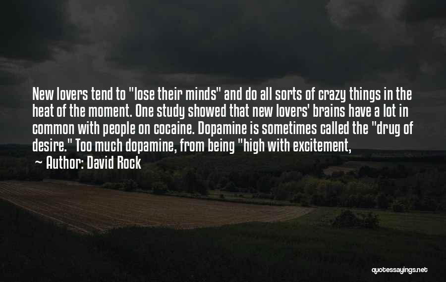 David Rock Quotes 1926231