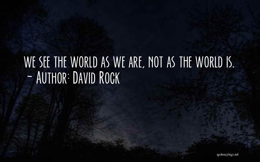 David Rock Quotes 2202333