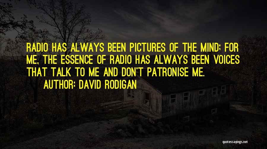 David Rodigan Quotes 466103