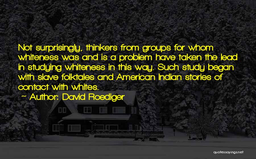 David Roediger Quotes 1543042