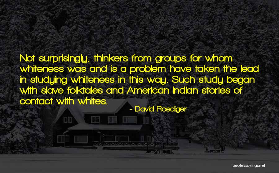 David Roediger Quotes 1543042