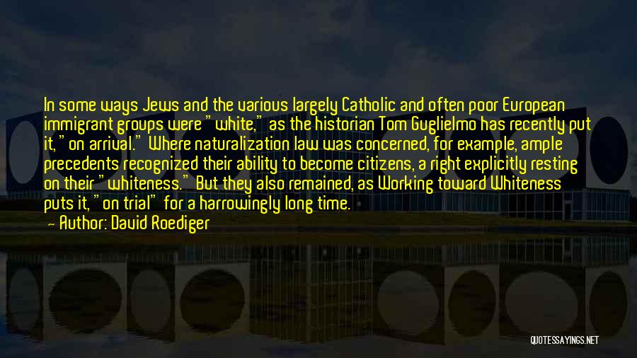 David Roediger Quotes 2180648