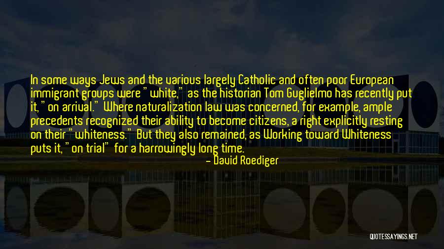 David Roediger Quotes 2180648