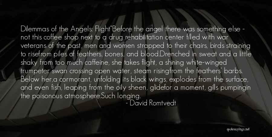 David Romtvedt Quotes 1593324 David Romtvedt Quotes 1593324