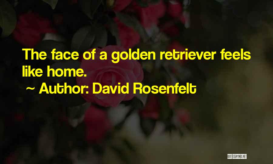 David Rosenfelt Quotes 1053122