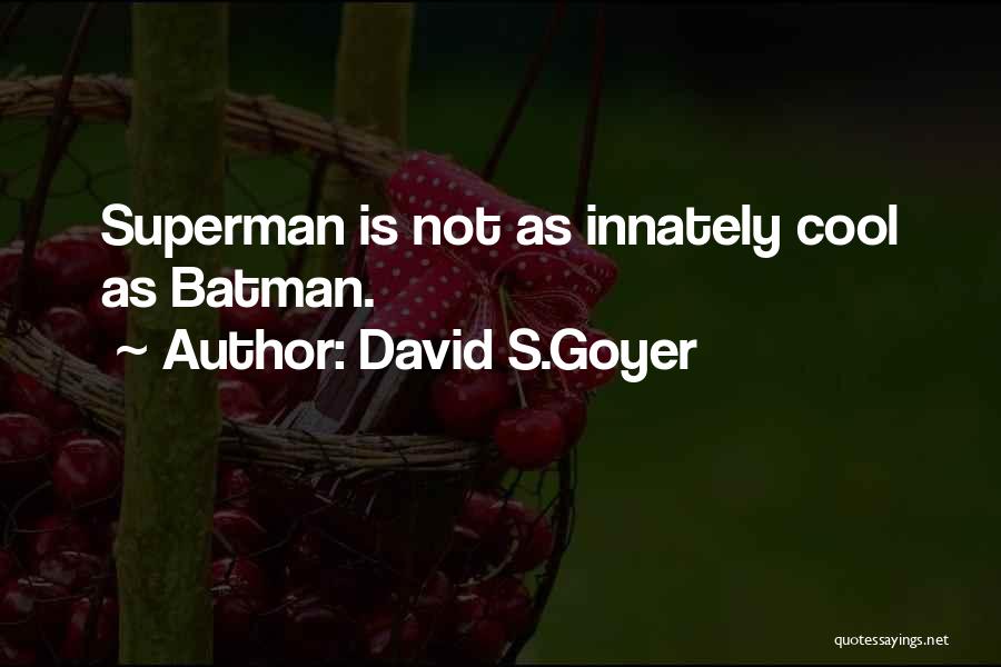 David S.Goyer Quotes 1417604