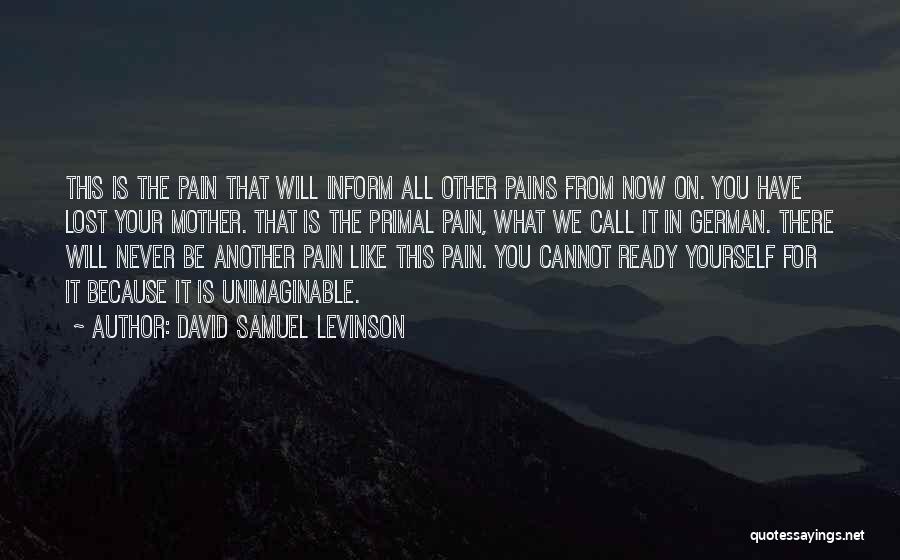 David Samuel Levinson Quotes 944030