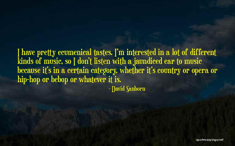 David Sanborn Quotes 1054821