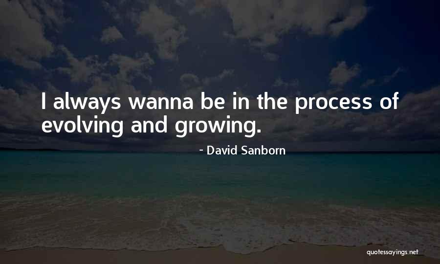 David Sanborn Quotes 1259118