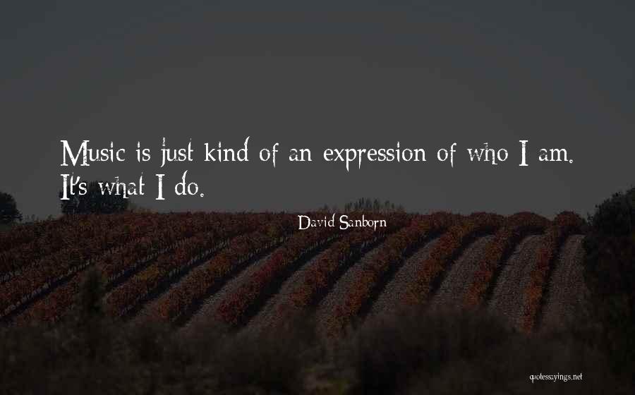 David Sanborn Quotes 1384198